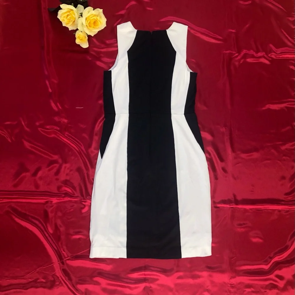 Ann Taylor Black & White Color Block Sleeveless Sheath Dress Petite - Picture 5 of 8